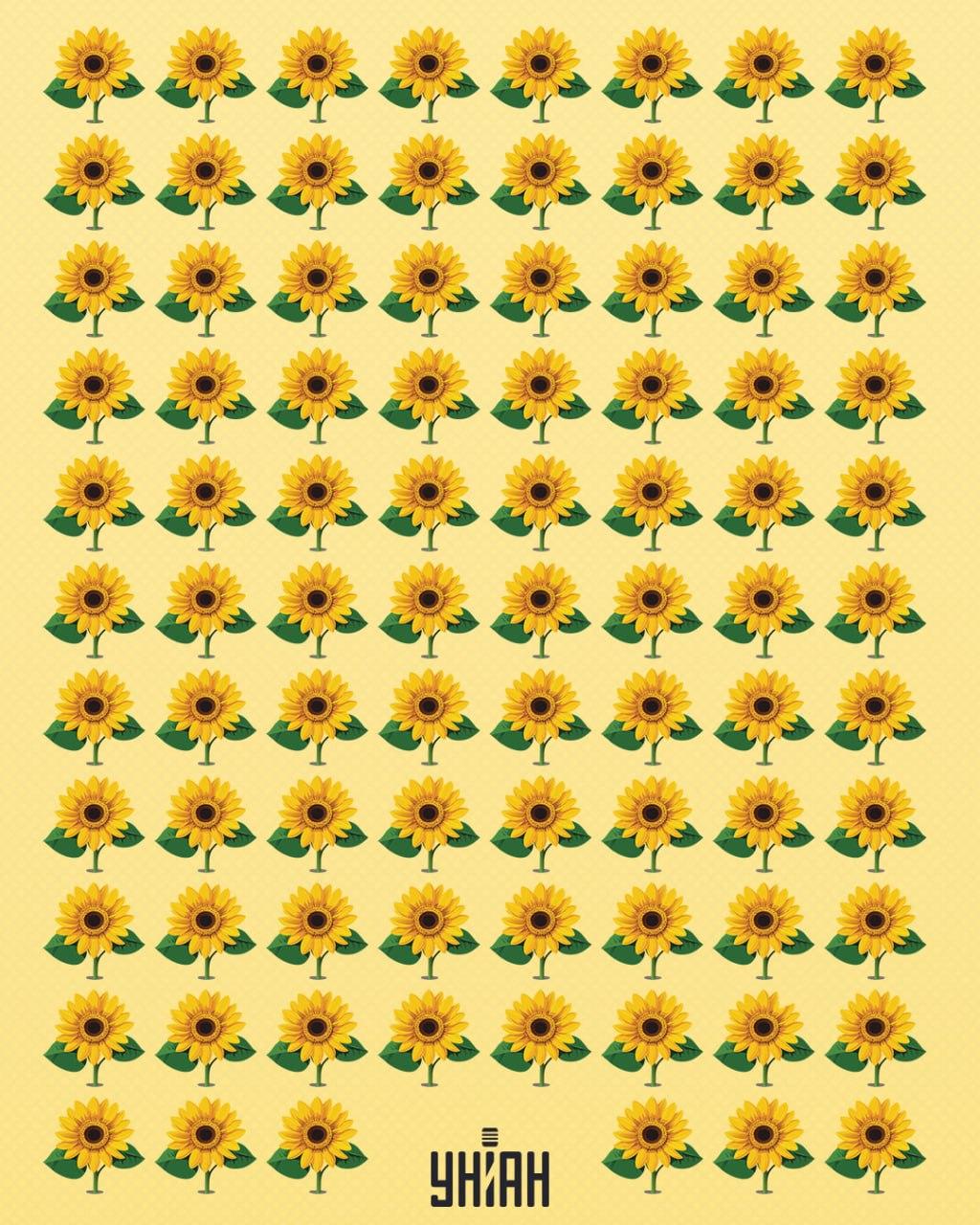 Du ska hitta en solros som skiljer sig från resten / Moje collage