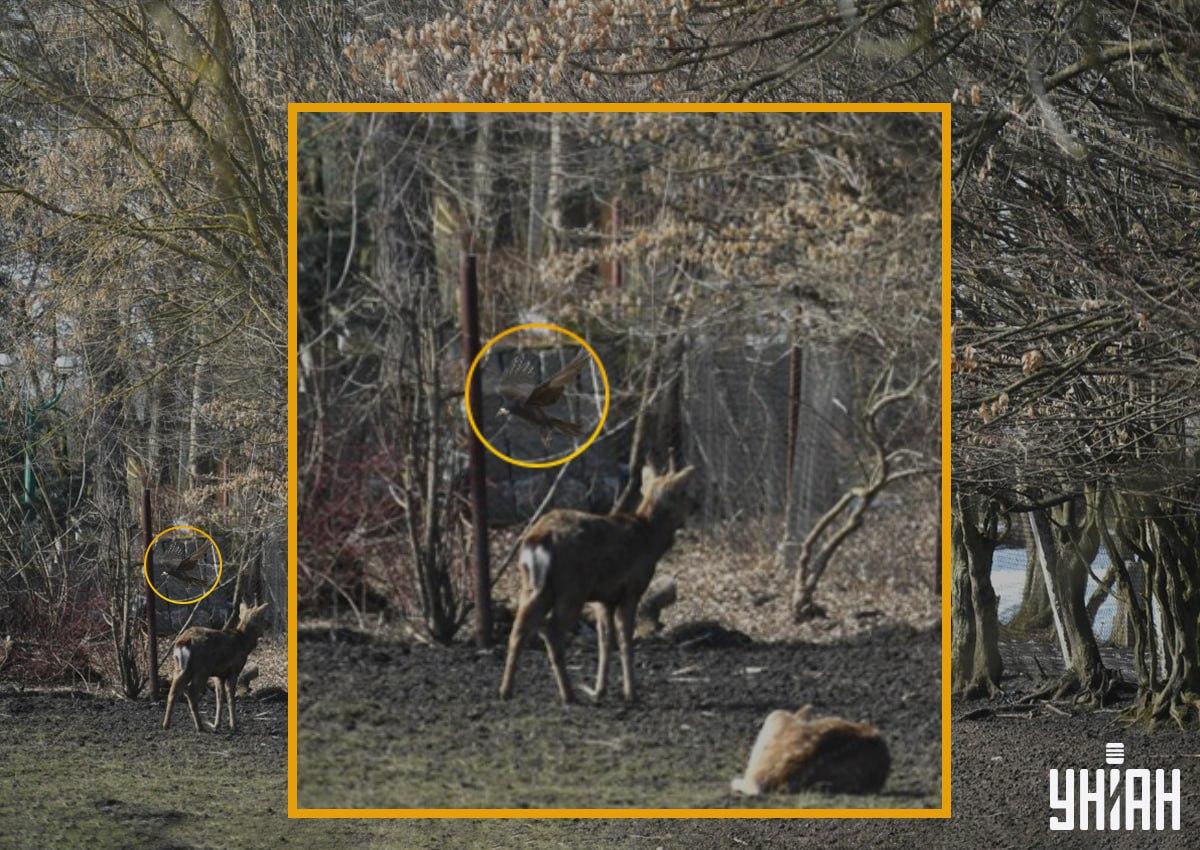 Moje foto