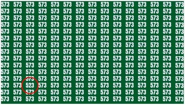 Siffran 523 finns i det nedre vänstra hörnet / Spegelfoto