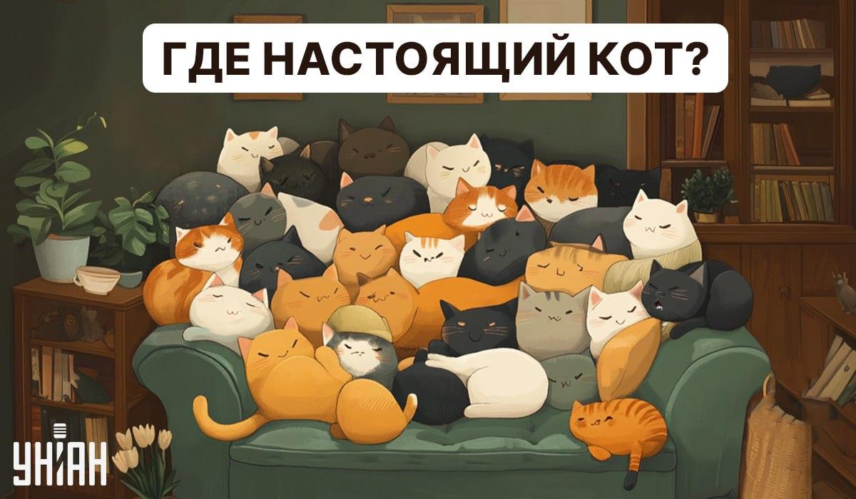 Moje collage