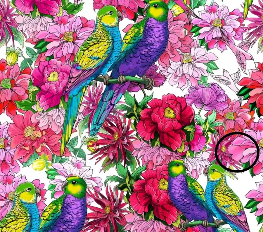 Pussel, papegojor, blommor