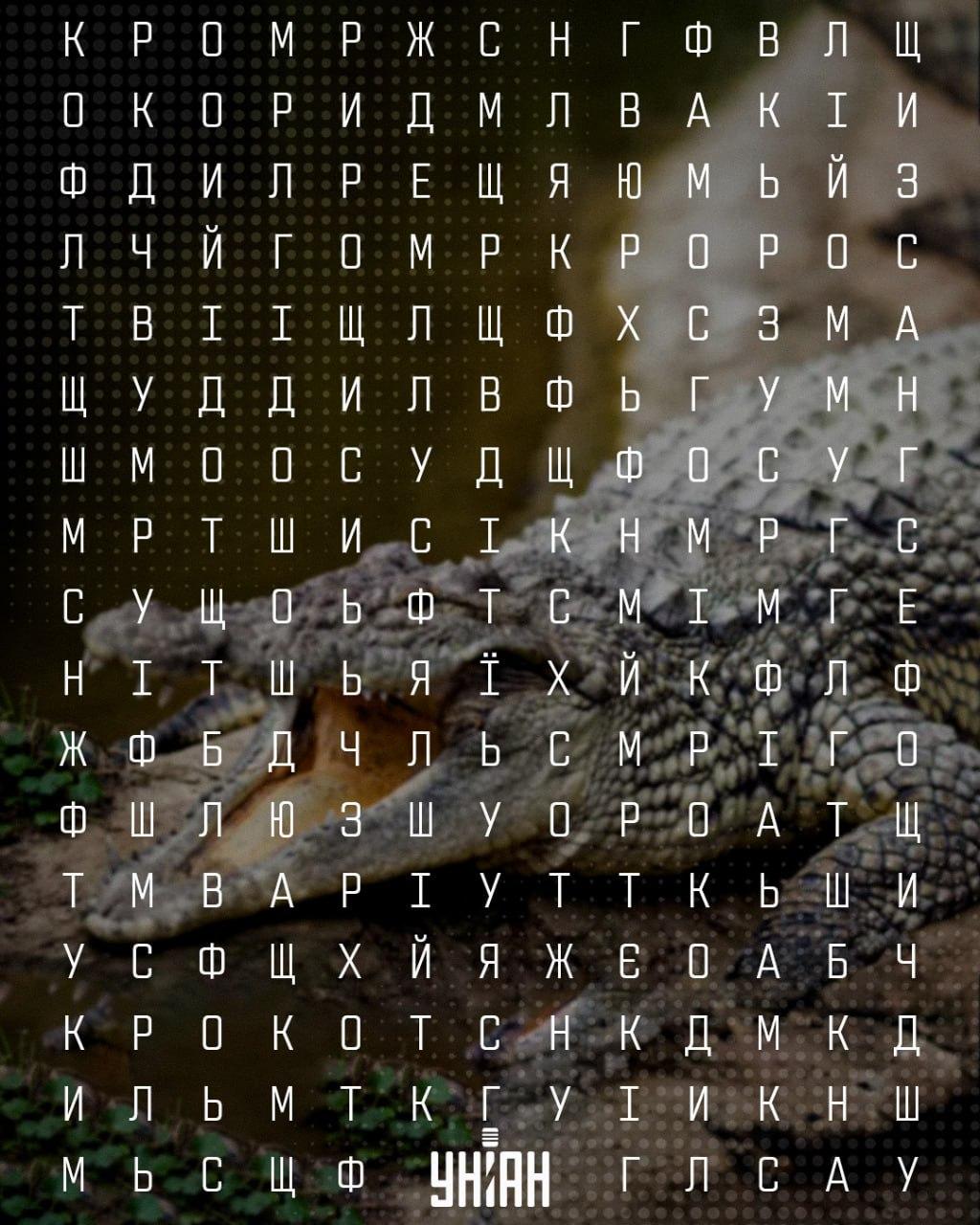 Moje collage