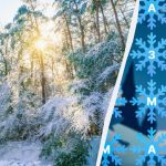 Du måste vara en detektiv som hittar ordet ”vinter” på